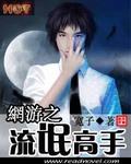 网游之流氓高手r