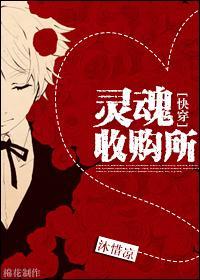 灵魂回收所视频